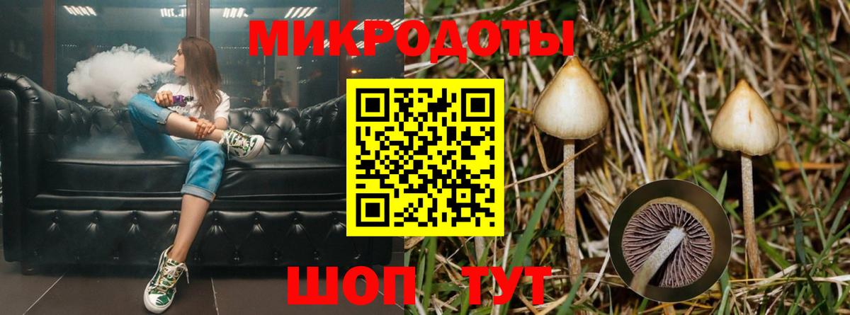 Псилоцибиновые грибы Psilocybe  Вход с VPN  Кудымкар 
